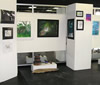 Walker Art and Design Show